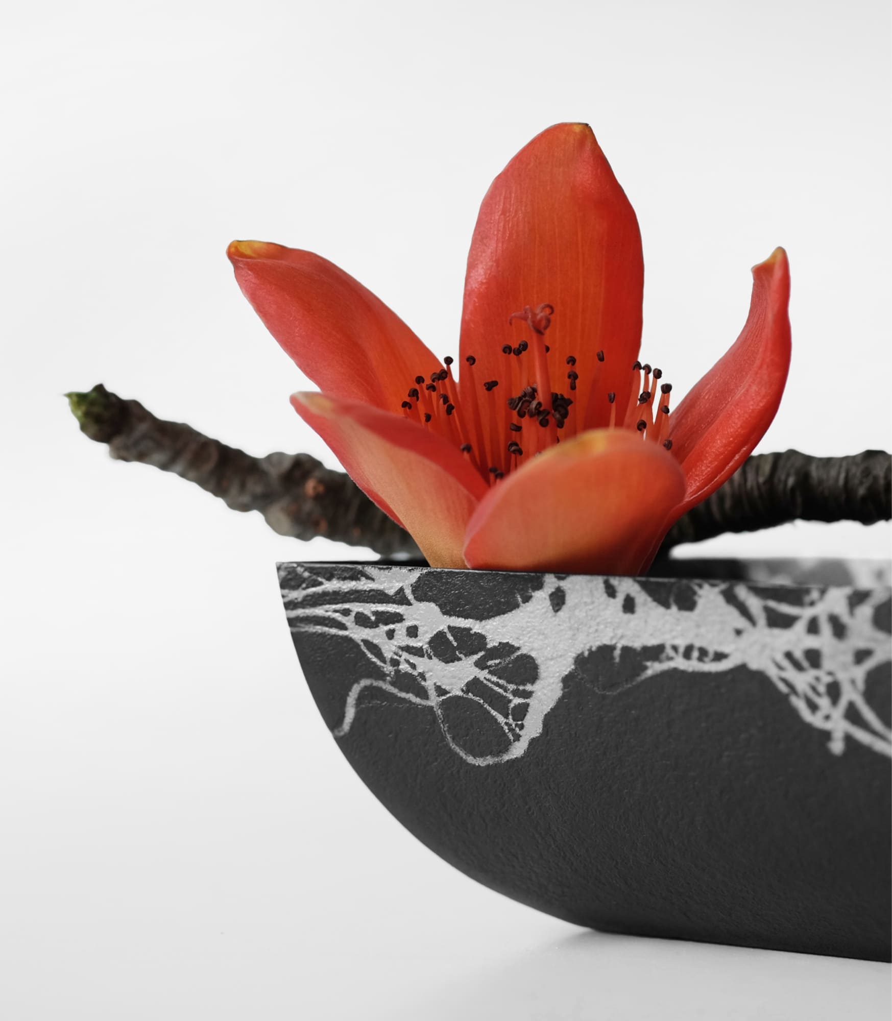 Red Flower Red Flower